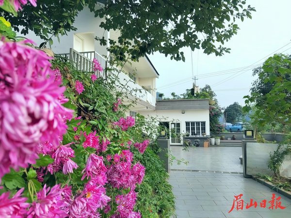 鄉村人居環境越來越美麗。