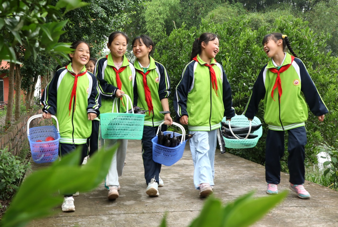 學(xué)生們正在搬運(yùn)蔬菜。.jpg