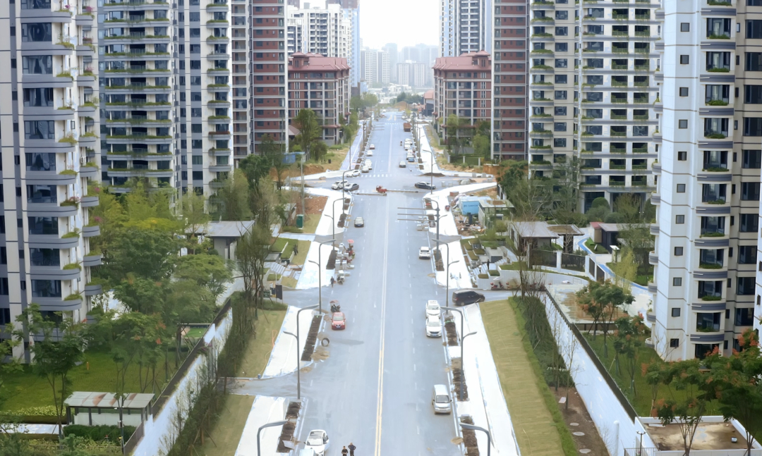 金融港片區市政道路.jpg