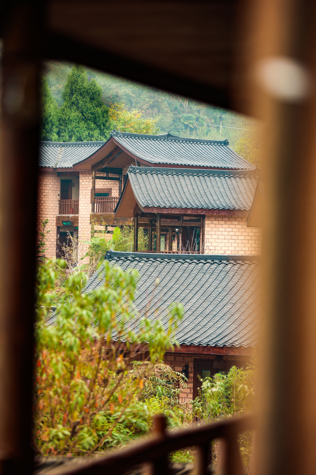 開窗見景的幸福嶺民宿.jpg