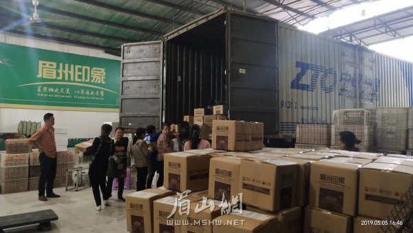 眉山柑橘通過(guò)物流發(fā)往全國(guó)各地。（資料圖片）