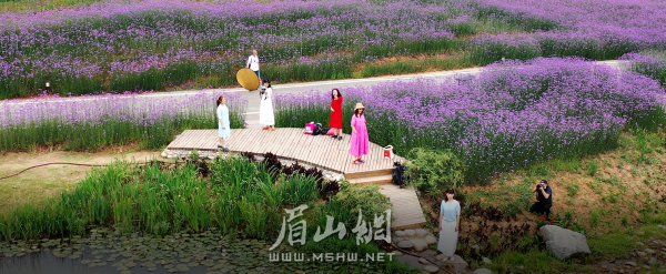 已建成的“中法農(nóng)業(yè)科技園”展示區(qū)。