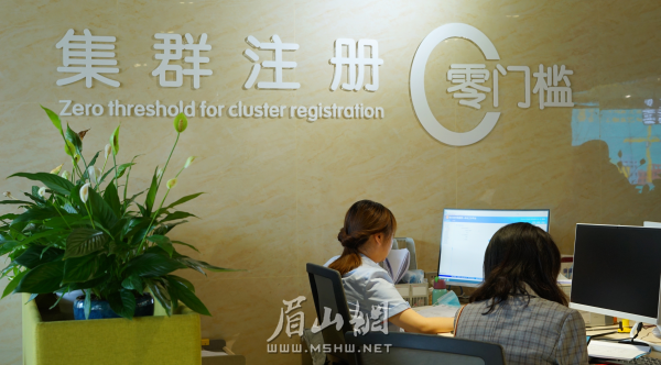 眉山天府新區(qū)營商環(huán)境專區(qū)。.png