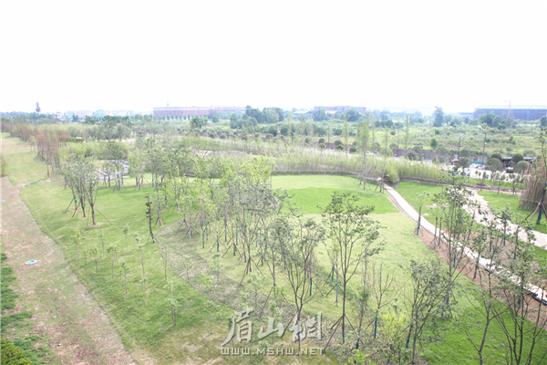 竹韻廊公園總進度已完成80%。.JPG