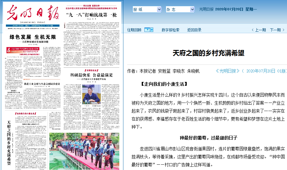 點擊圖片查看原文
