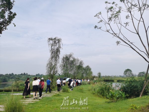 黑龍灘生態濕地。