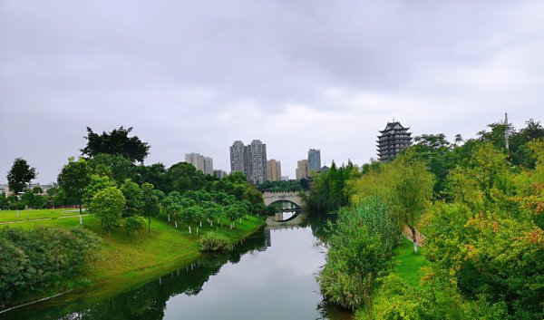 東坡城市濕地公園一角。