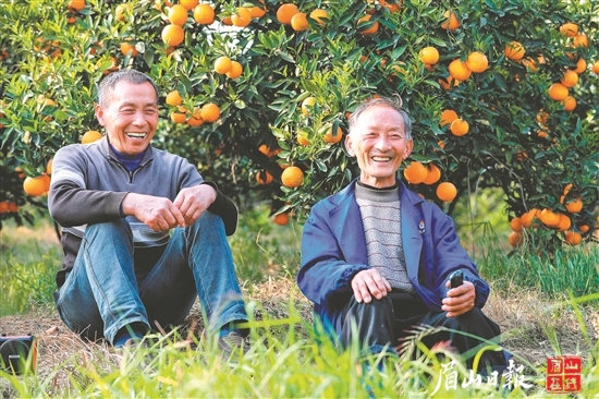 果子即將豐收，丹棱果農(nóng)喜笑顏開。（丹棱縣農(nóng)業(yè)農(nóng)村局供圖）