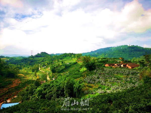 風景如畫的官廳村。