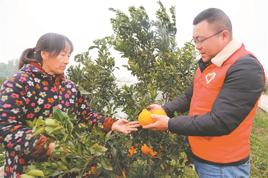 黃水芳（左）與村干部交流。