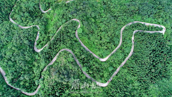 W020201229522863890781_600.jpg