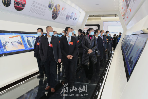市人大代表在通威太陽能電池項目視察。記者 雷同 攝