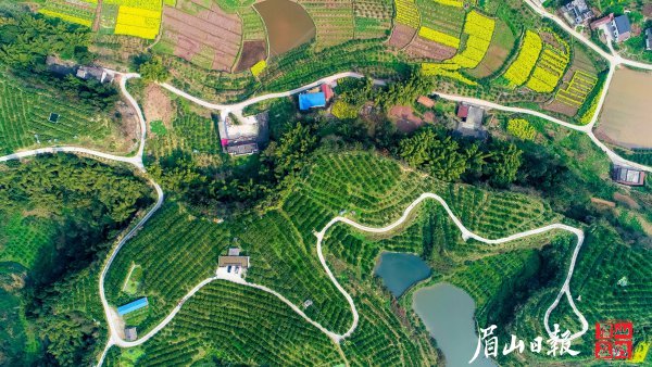產(chǎn)業(yè)便道助力鄉(xiāng)村振興。