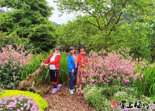 梅州采訪團鏡頭下的幸福古村。
