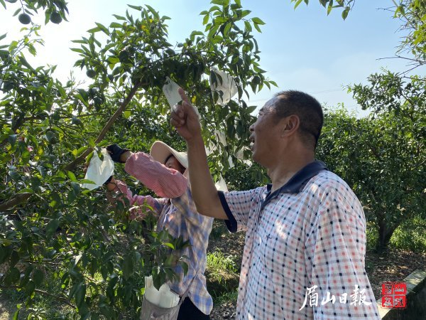 李培明認(rèn)為，誠(chéng)實(shí)守信是做人的基本準(zhǔn)則。