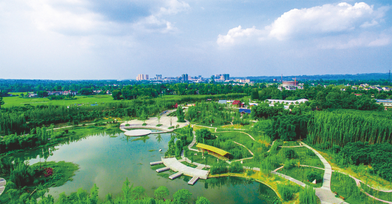 竹林濕地公園