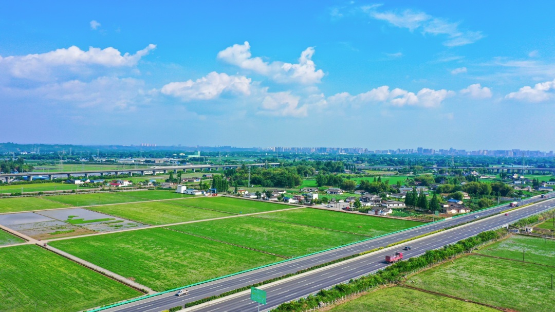 9-38崔宗喜《并駕齊驅向眉山》2022年5月11日，太和鎮永豐村.jpg