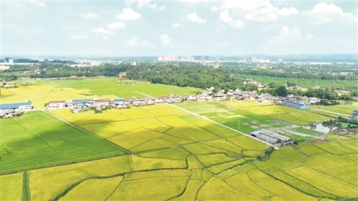 眉山城鄉風景如畫。