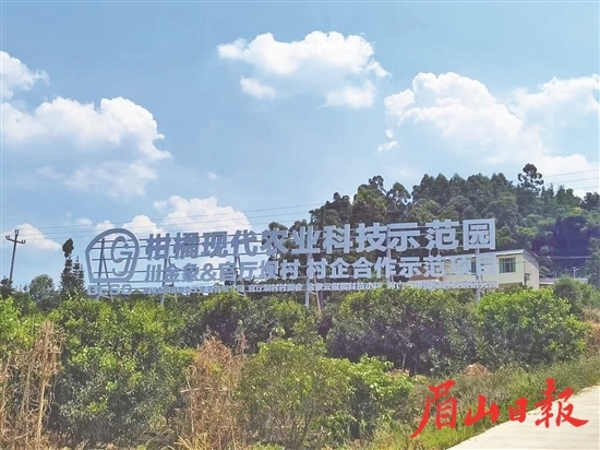 村企合作示范項目。（川金象提供）
