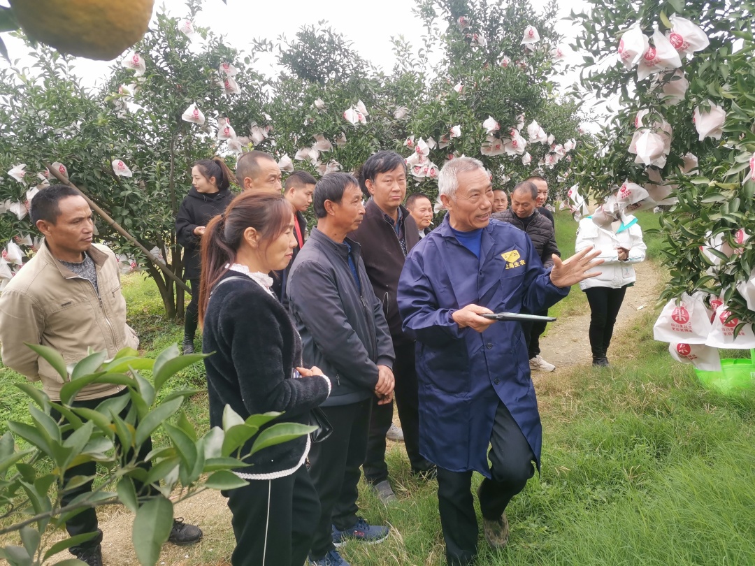 汪小川來到果園解決果農遇到的難題。.jpg