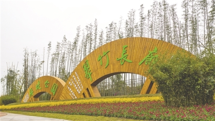 美麗竹林風景線。（資料圖片）