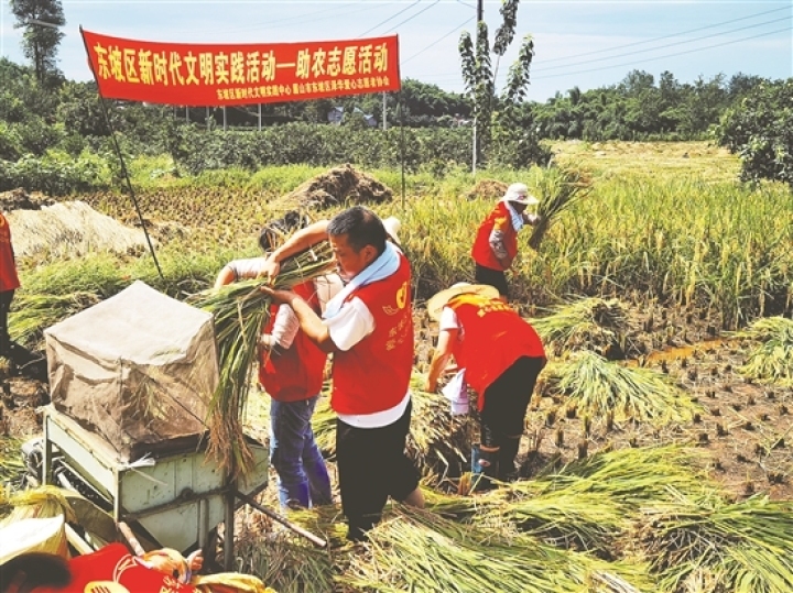 助農(nóng)志愿活動(dòng)。（資料圖片）