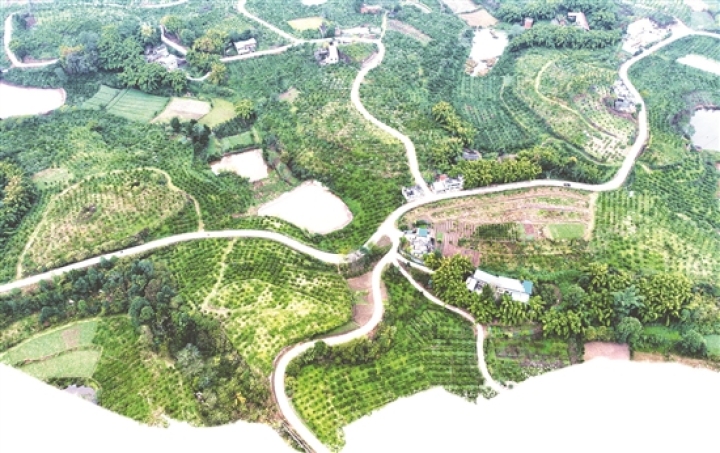 四通八達(dá)的鄉(xiāng)村公路。