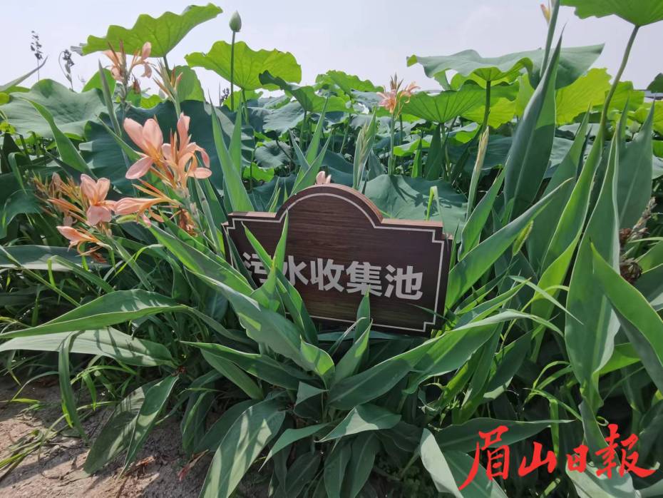 掩映在花叢中的污水分級處理設備。