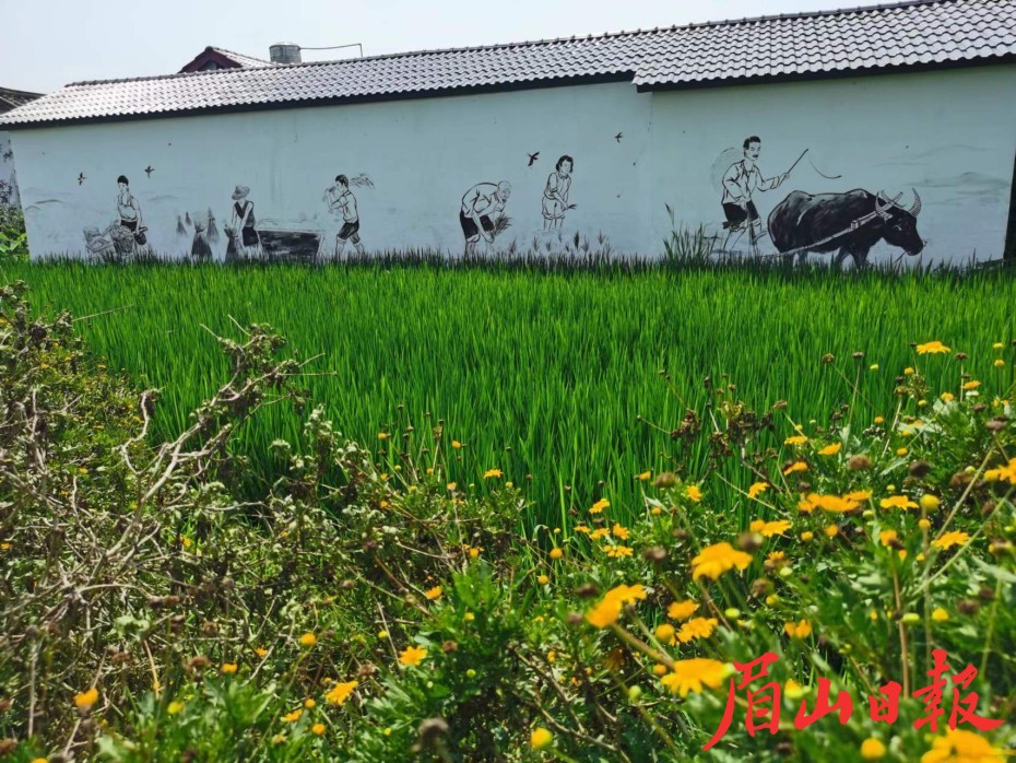  美麗村貌。