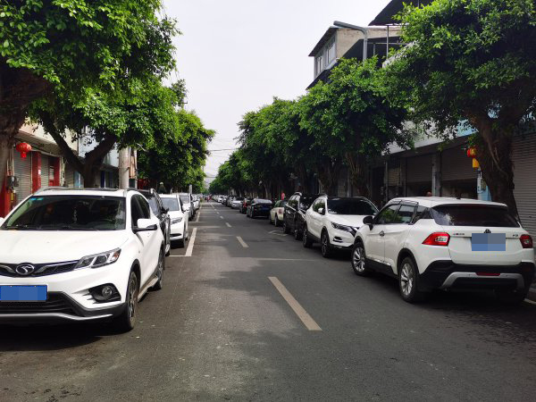  彭山區新南街下段，車輛違停現象突出。