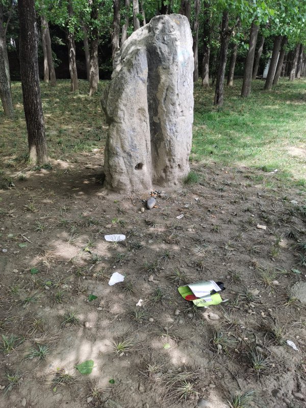  東坡區詩碑健身廣場，綠化帶內散落垃圾。