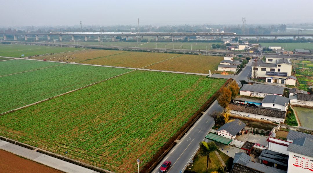 12月26日，動車行駛在永豐村高標準農田上的高鐵上。.jpg
