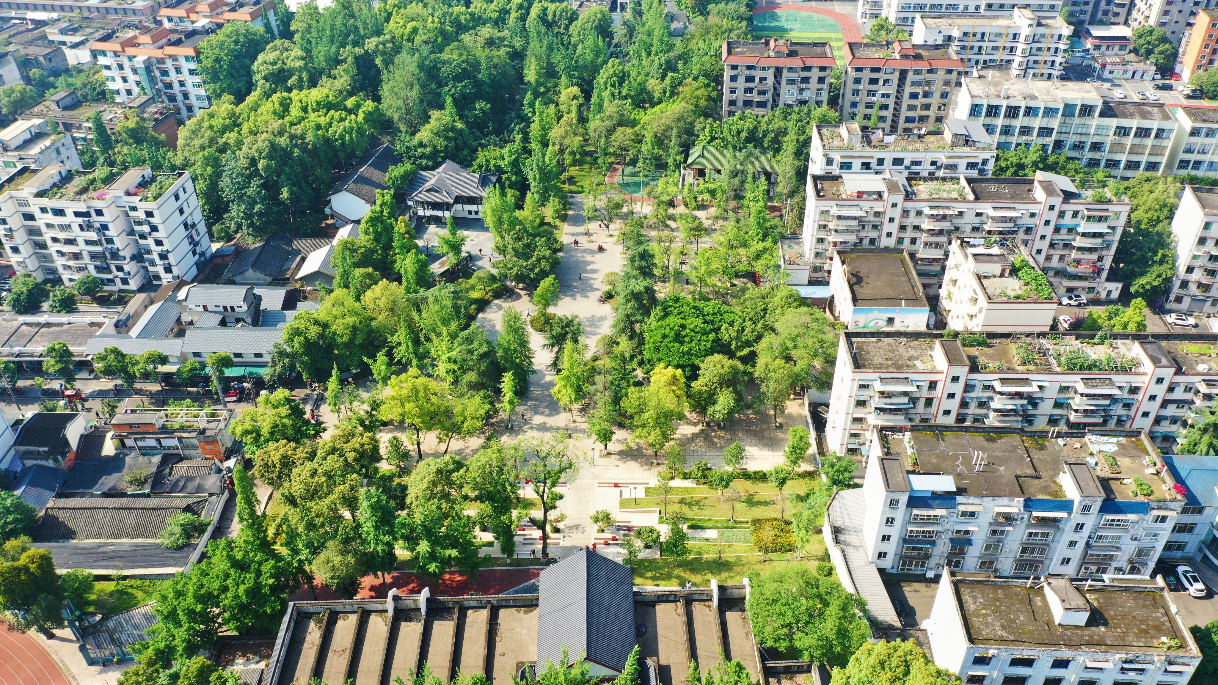 改造后的鳳鳴公園綠樹成蔭、環(huán)境優(yōu)美。.jpg