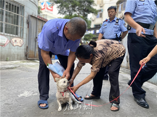 市民在蘇祠派出所民警的勸導下，迅速為自家敞放犬拴上牽引繩。
